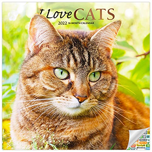 I Love Cats Calendar 2022 -- Deluxe 2022 I Love Cats Wall Calendar Bundle with Over 100 Calendar Stickers (I Love Cats Gifts, Office Supplies)
