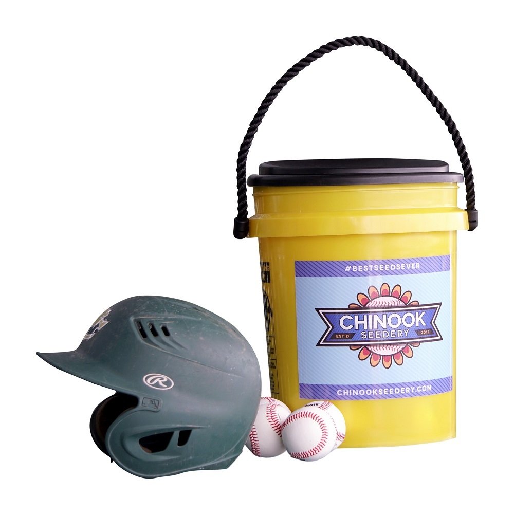 Chinook Seedery Five gallon Team Bucket with Swivel Seat Filled With 12 - 4.7 Oz Bags Of Non-Gmo Sunflower Seeds, Original