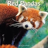 2016 Red Pandas Calendar