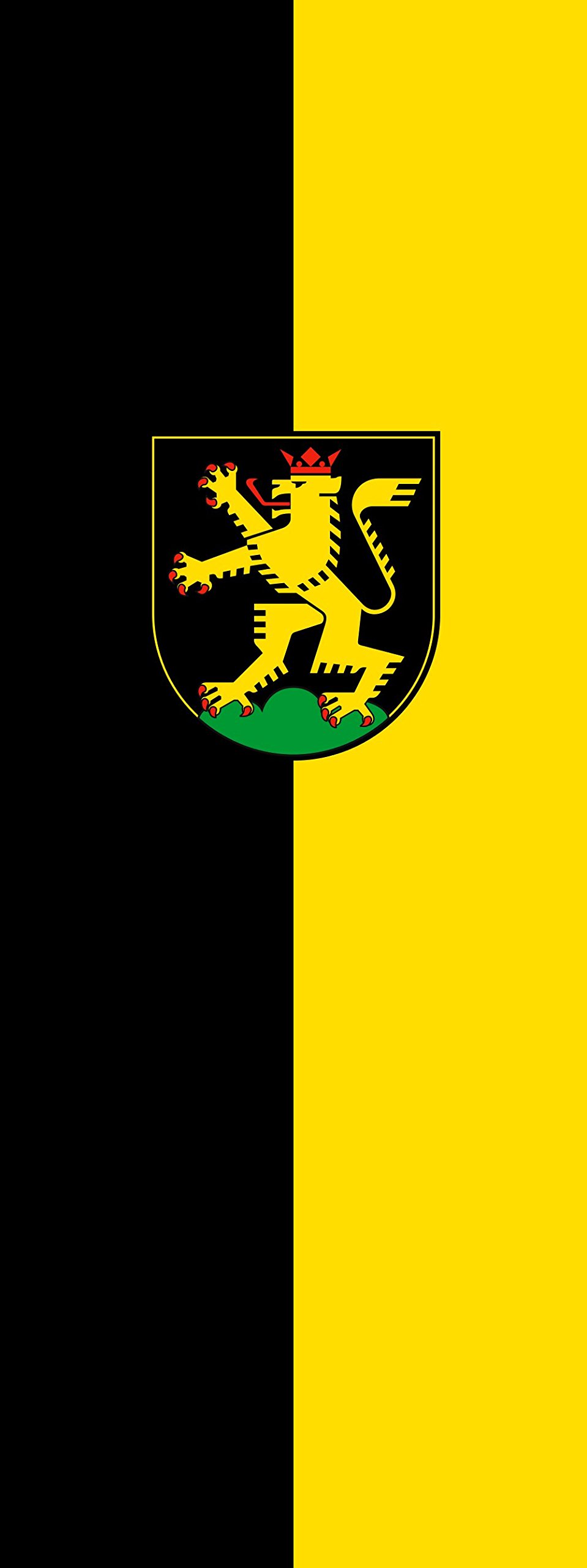 Drapeau Heidelberg de prestige pavillon portrait 400x150cm grand format 6m²