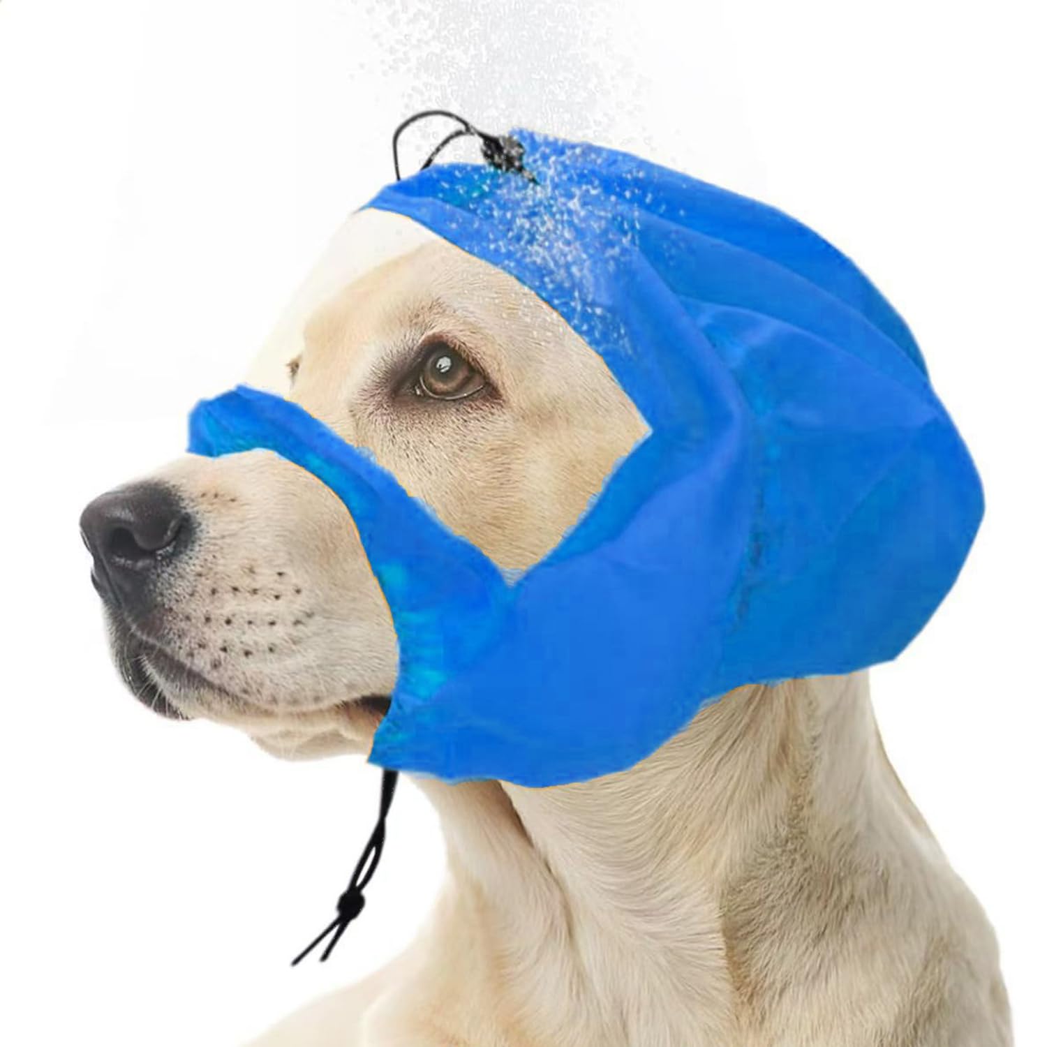 Blue Dream Island Adjustable Large Dog Shower Cap,Dog Ear Cover Waterproof Hat,Pet Ear Protection Bathing Cap for Grooming Bathing Swimming_Blue-Transparent