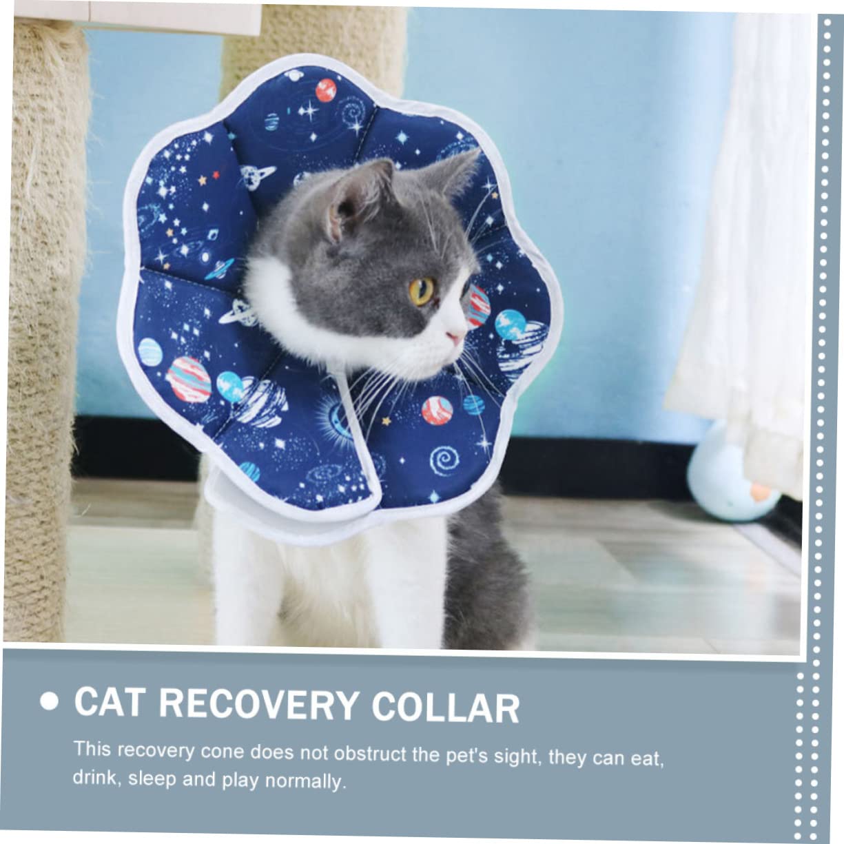 Didiseaon 4 Pezzi Collare A Cono Composto Cono Per Cani Alternativa Dopo L'Intervento Gatto Morbido Collare A Per Gatti Collo Di Gatto Per Gatti
