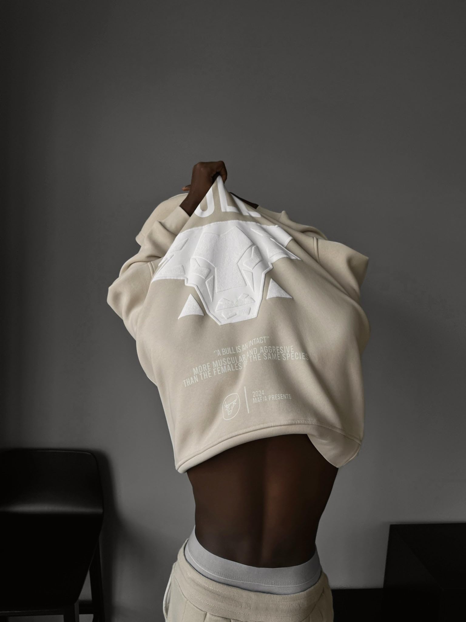 Felpa con cappuccio oversize Bull – Sabbia sbiancata