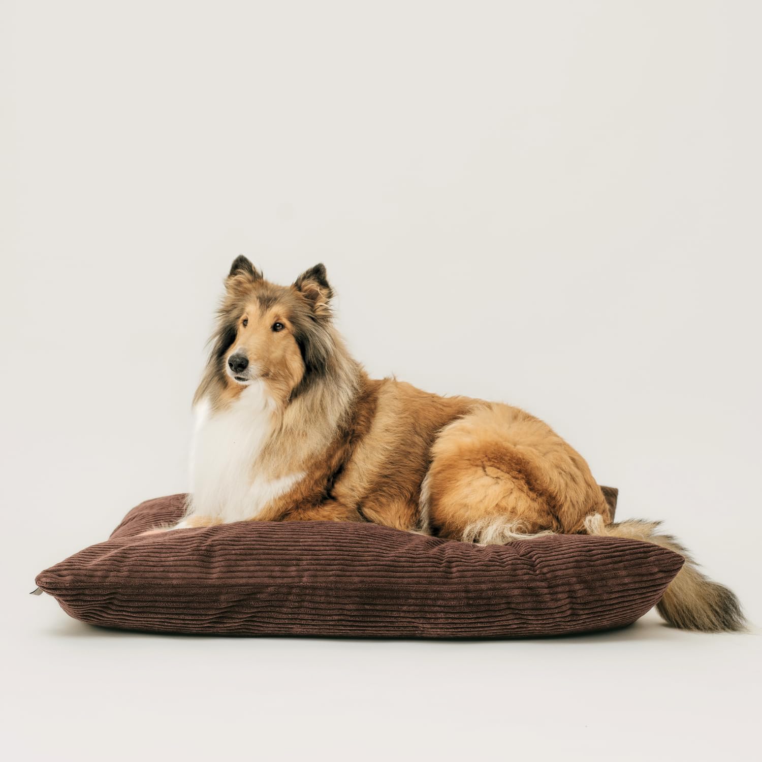 4L Textil Molly Hundebett Hundekissen aus Cord waschbar | Abnehmbarer Bezug