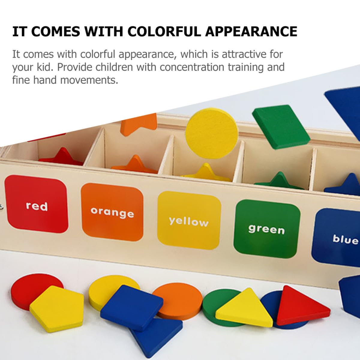 Box Classificazione Sagome in Legno Montessori per Bambini