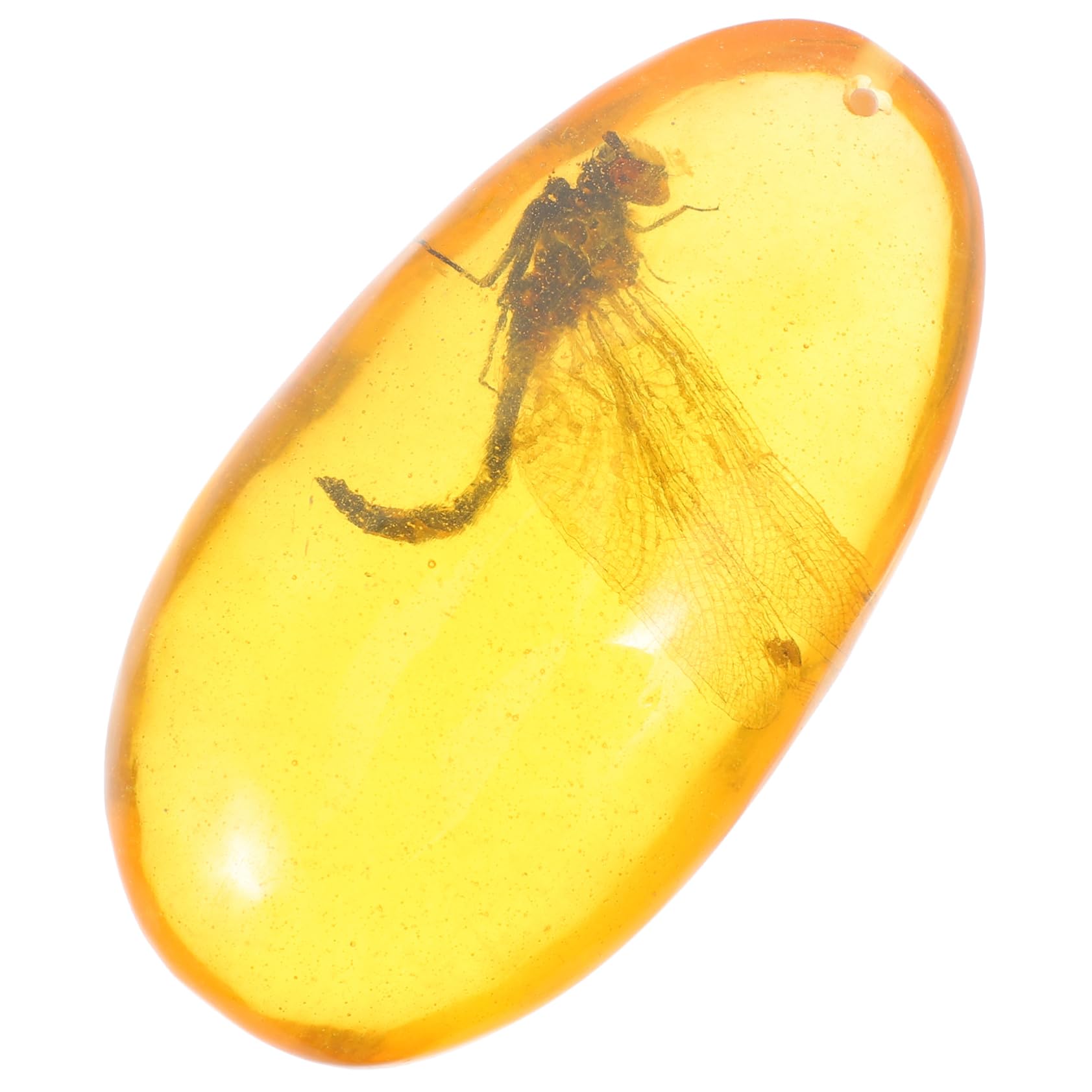 琥珀色の蜜蝋の僧侶の彫刻 Amazon | CALLARON 琥珀の化石 ユニークな石 樹脂昆虫標本 昆虫