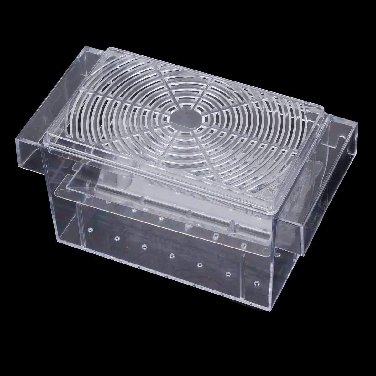 Aquariumshopindragonmart.com Plastic fish tank aquarium breeding isolation box hatchery incubator FH-102 BOYU