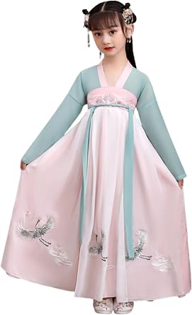 Guzheng Hanfu for Girls Fairy Dresses Tang Suit Embroidered Skirt Chinese Style Served Ru Performance Clothing
