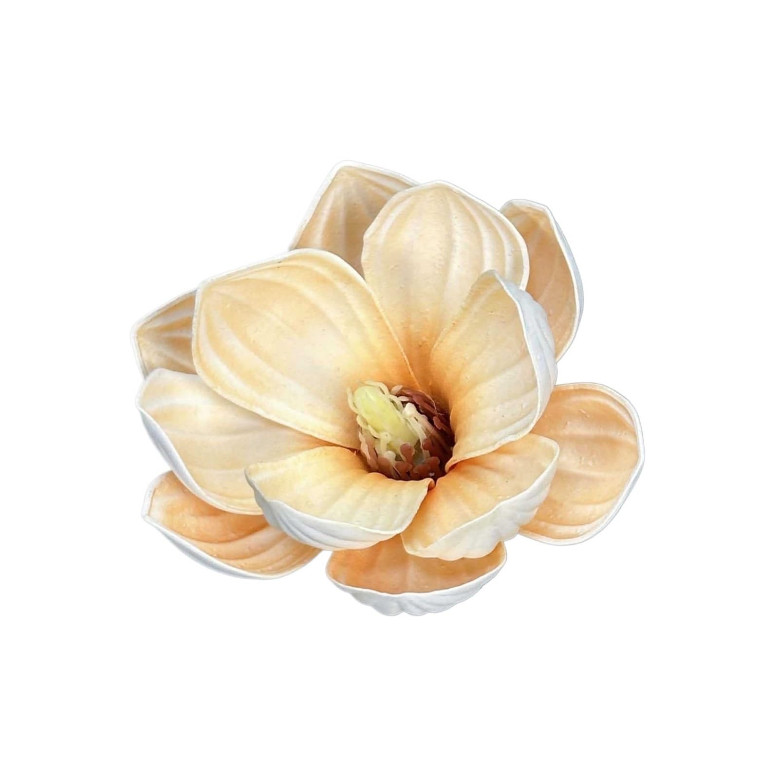 Casetlong 20Pcs Artificial Flower Head Wedding Floral Arrangement Diy Party Gift Box Decor Fake Flowers Ornaments(13CM Champagne)