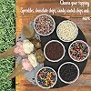 Rainbow Candy Coated Chocolate Chips | 1.5 lbs Cosmic Brownie Sprinkles | Mini Chocolate Baking Chips for Ice Cream & Cake Decorating | Kosher Nut Free Non GMO Vegan & Gluten Free | Sterns Bakery