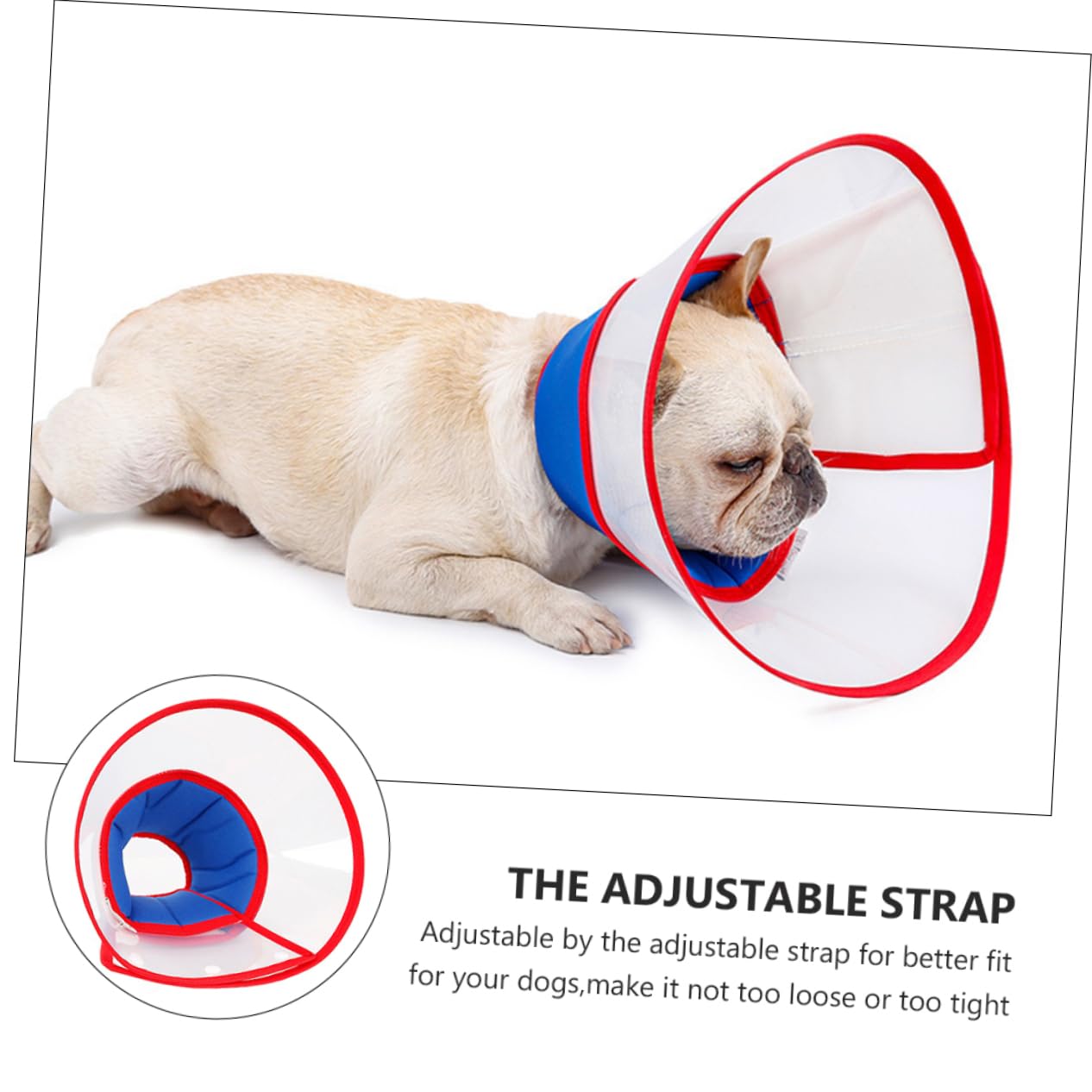 minkissy 2pezzi Collare di Regolabile per Cani Elisabettiano Trasparente Comfort Brevettato Facile da Indossare Protezione Post-operatoria per Animali Domestici