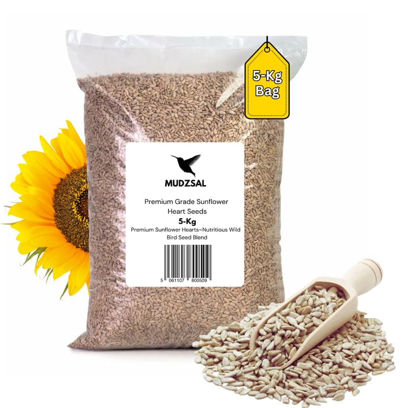Premium Sunflower Heart Seeds Wild Bird Food – High Energy, No Mess Bird Feed