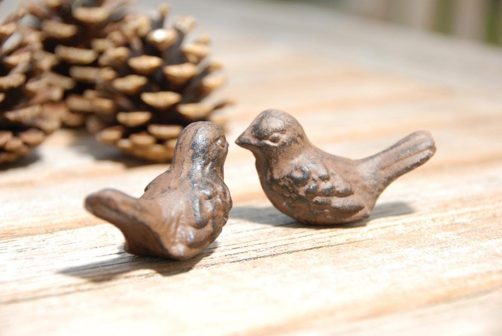 Amazon.co.jp: Esschert Design E8216 鳥のギフトボックス ありがとう