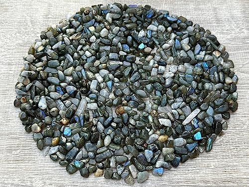 Labradorite Blue Chips – Natural Mini Labradorite Blue Stones, Crushed Undrilled Labradorite Blue, Semi-Tumbled Genuine Labradorite Blue (1/4 lb)