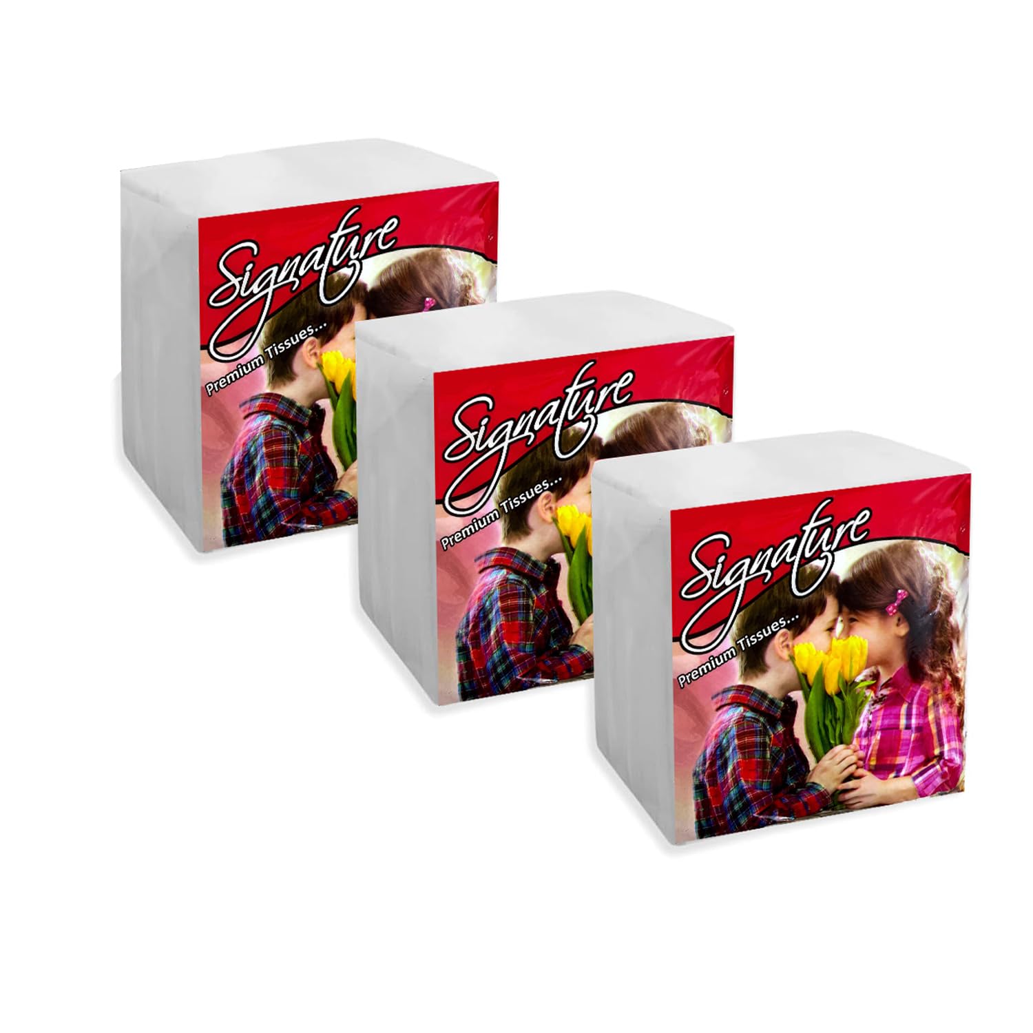 1 Ply Tissue Paper Napkins - Pack of 3 (100 Pulls Per Pack, 300 Sheets) | Soft & Highly Absorbent Paper Towels, Eco-Friendly, Ideal for Commercial, Home Use, Offices, Kitchens