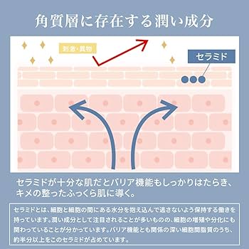 パック・フェイスマスク MINA パック・フェイスマスク MINA 2025年最新】ZX パック・フェイス