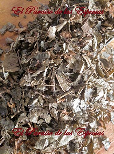Hamamelis Hojas 1000 grs - Avellano de Bruja Planta Natural 100 %