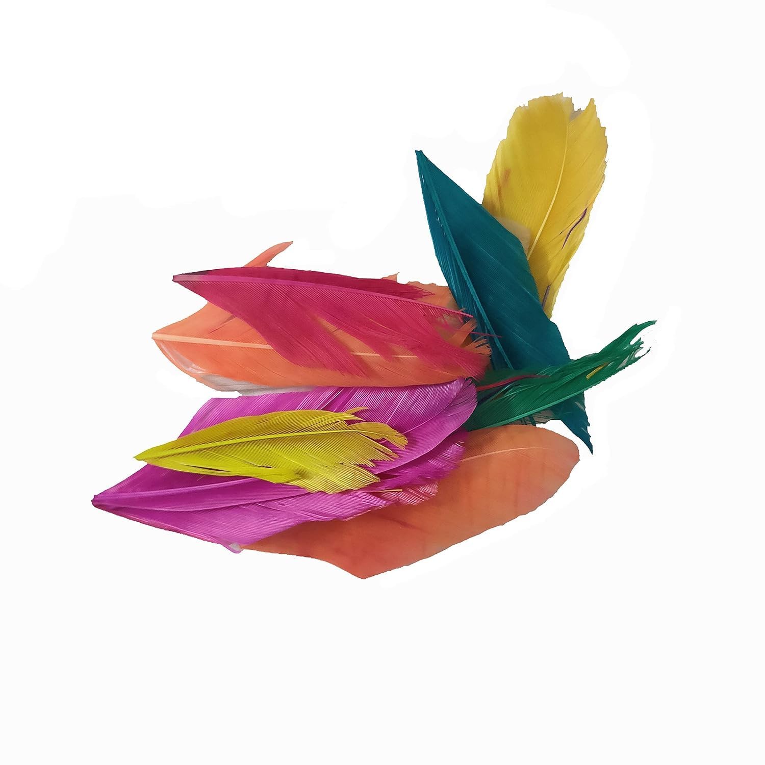 Geeta Store Decorative Natural Dyed Feather Set for Art & Craft, Multicoloured (8 cm Length, Pack of 100)-image-40