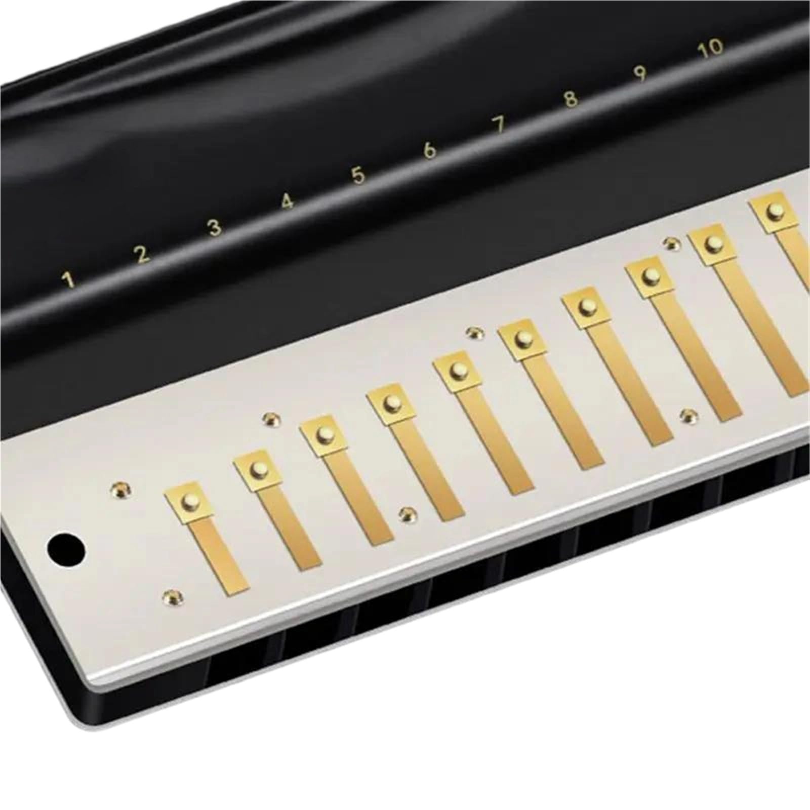 Armonica Armonica Blues A 10 Fori Strumento Professionale Tonalità Do Per Esibizioni(Key of C)