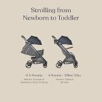 Ergobaby Metro+ Poussette compacte pour bébé Deluxe, Poussettes parapluie légère se replie vers le bas pour le stockage d'avion 50 lbs), Siège auto compatible, Empire State Green