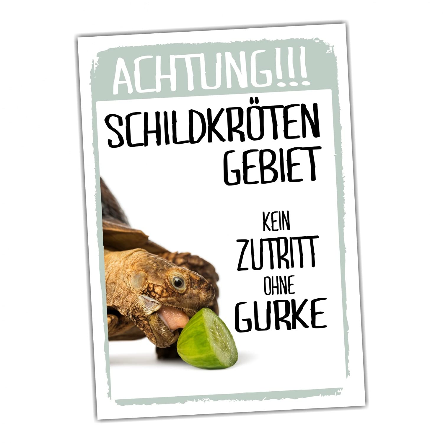 SCHILDKRÖTE Reptil-Warnschild Aluminium 30,5x20 Cm – Selbstklebend Oder Mit Löchern, A4-Format