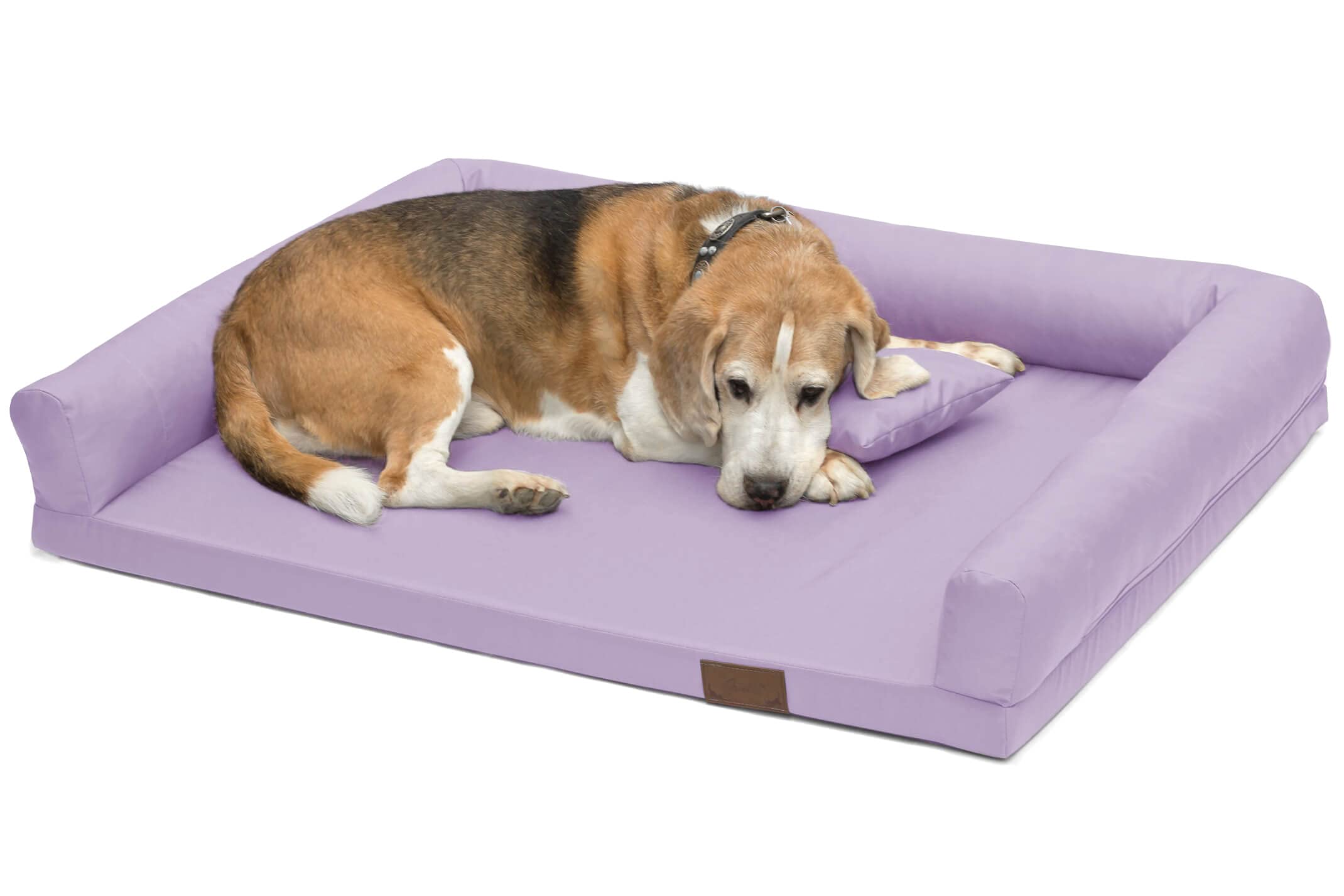 Juelle Cama Ortopédica para Perros Medianos, Colchón Ergonómico con Lados para Perros Medianos, Funda Extraíble, Lavable a Máquina a Máquina - 100 x 75 cm - XXL de la suerte (Tamaño: M - 100 x 75 cm,