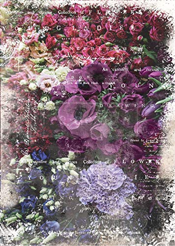 PRIMA MARKETING INC MULBERRY TISSUE GISELLE