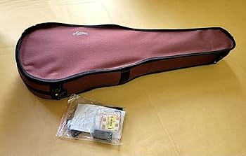 Amazon.co.jp: L-16 Artisan バイオリン ヴァイオリン ケース付き 込み