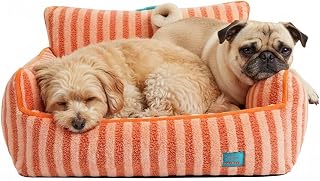 ZEZE Striped Furniture Style Sofa Cat Bed – Modern Upholstered Pet Couch for Cats & Small Dogs, Soft Cushion & Elevated Design, Stylish Pet Furniture for Home Decor (Orange, Large)