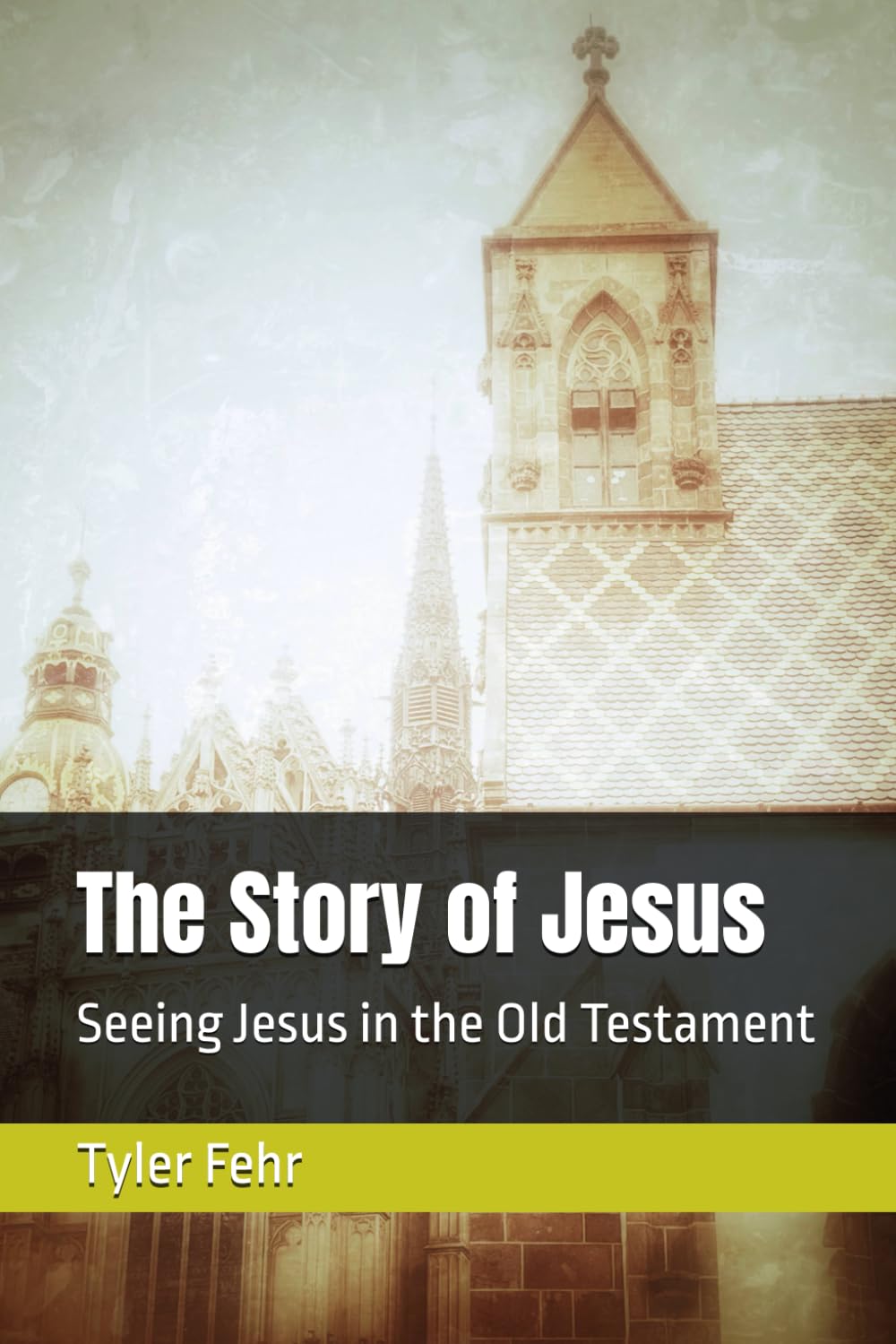 The Story of Jesus: Seeing Jesus in the Old Testament