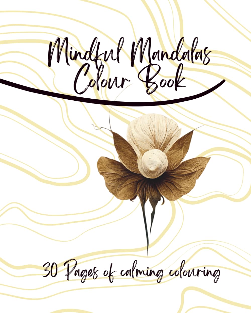 Mindful Mandalas: 30 Pages Of Relaxing Mandalas