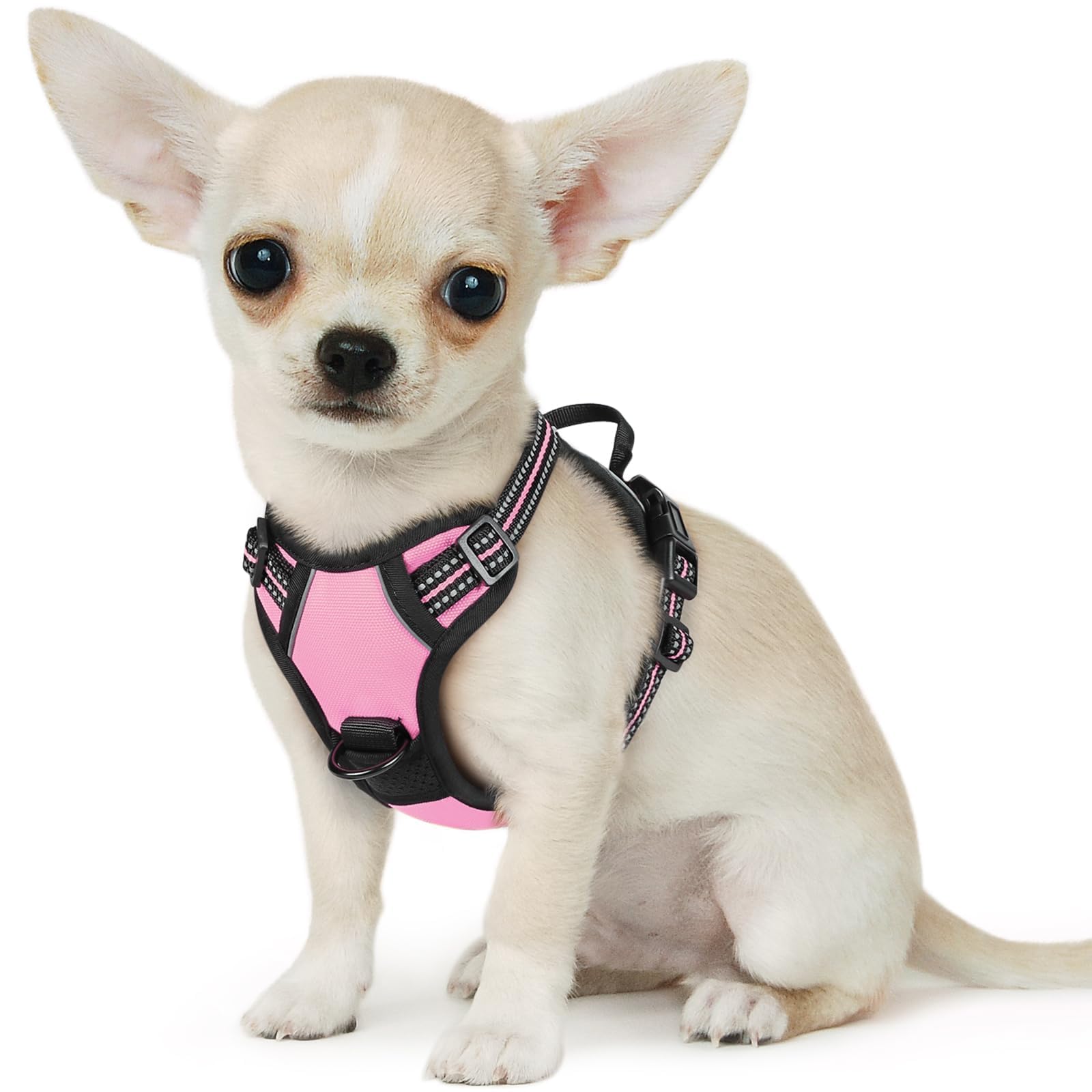 Eagloo Dog Harness for Small Dogs