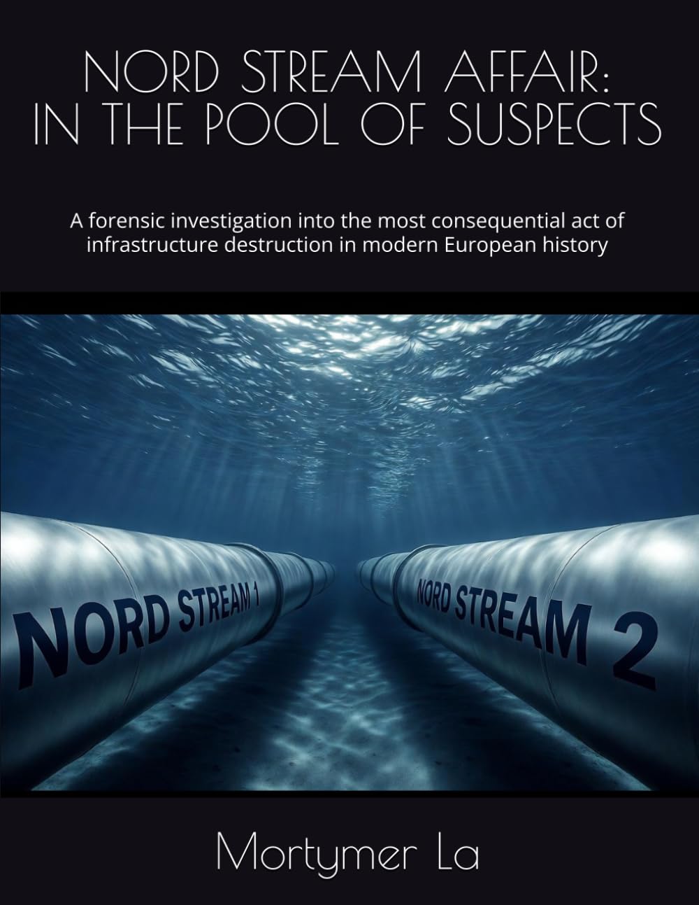 NORD STREAM AFFAIR: IN THE POOL OF SUSPECTS: A forensic investigation into the most consequential act of infrastructure destruction in modern European history