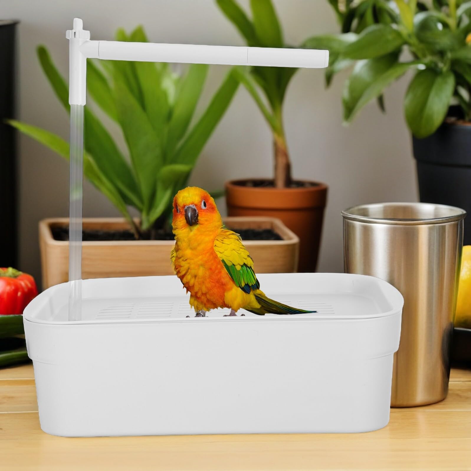 Automatische Vogeldusche mit Fließendem Wasser Papageienbadewanne 31,2x20,8x9,7cm Leise rutschfest Abwaschbar für Wellensittiche und Kleine Papageien im Käfig
