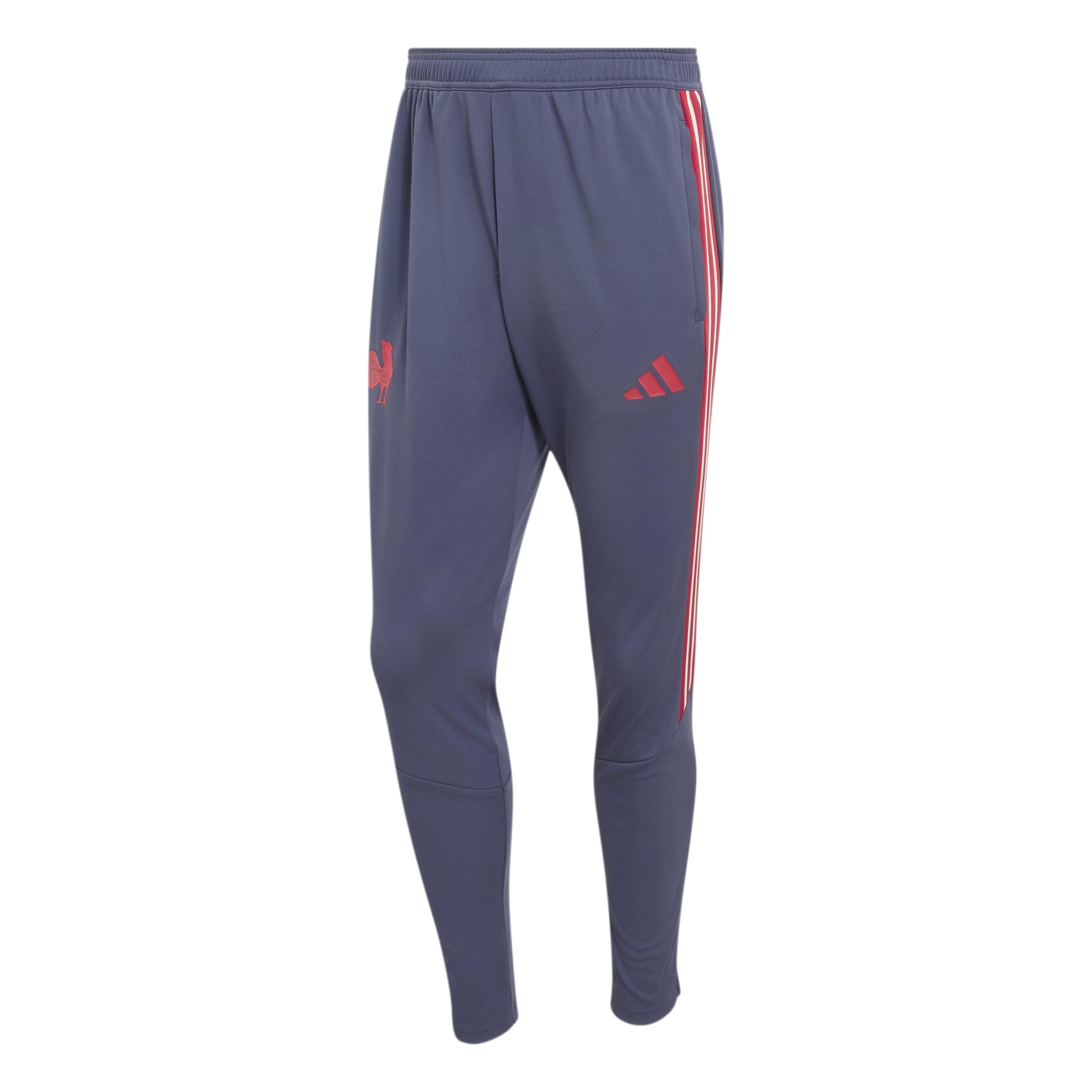 adidas Men's France Rugby Training Pants, Shadow Navy, XL