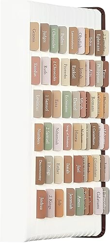 Miniatura 1 de Pestañas bíblicas, suministros de estudio bíblico, pestañas laminadas de diario bíblico para mujeres, hombres, niños, etiquetas bíblicas de