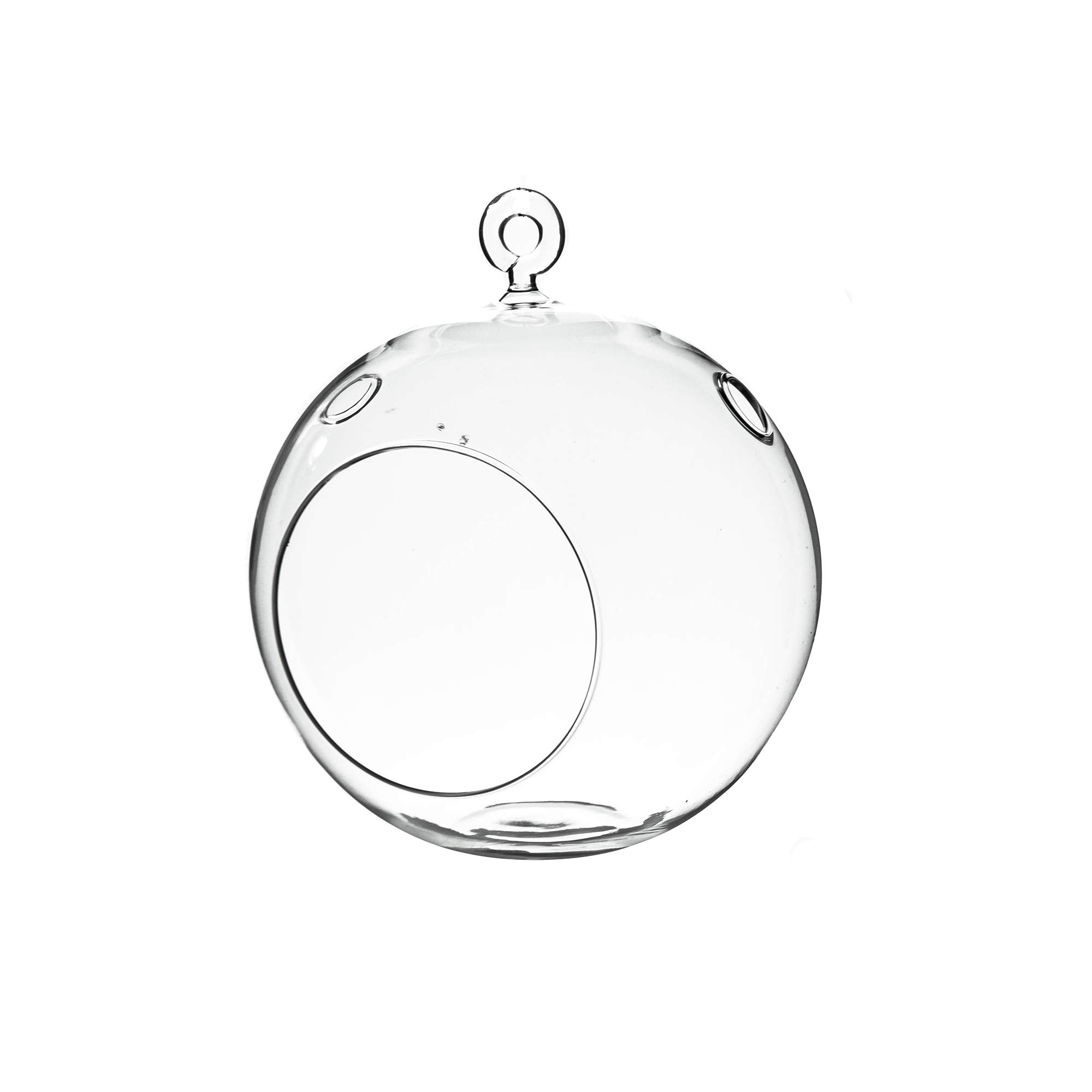 WGV Hanging Terrarium Globe, Width 6", Height 6.5", DIY Air Succulent Planter, Clear Glass Vase Orb with Flat Bottom, Candle Holder for Windowsill Outdoor Garden Decor, 1 Piece