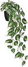 Hollyone 80CM Trailing Artificial Plant in Black Pot, Fake Variegated Jade Pothos Decorative Faux Potted Plants, Realistic Artificial Plants for Home Décor, Living Room, Shelf, Bathroom Decorations