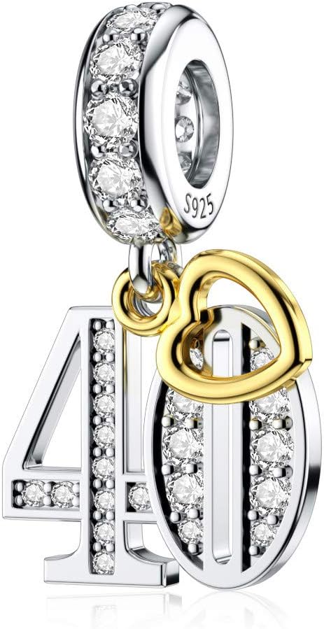 DALARAN Birthday Number 21st 30th 40th 50th Celebration Letter Charm for Bracelets Present for Women Wife Sister Friends