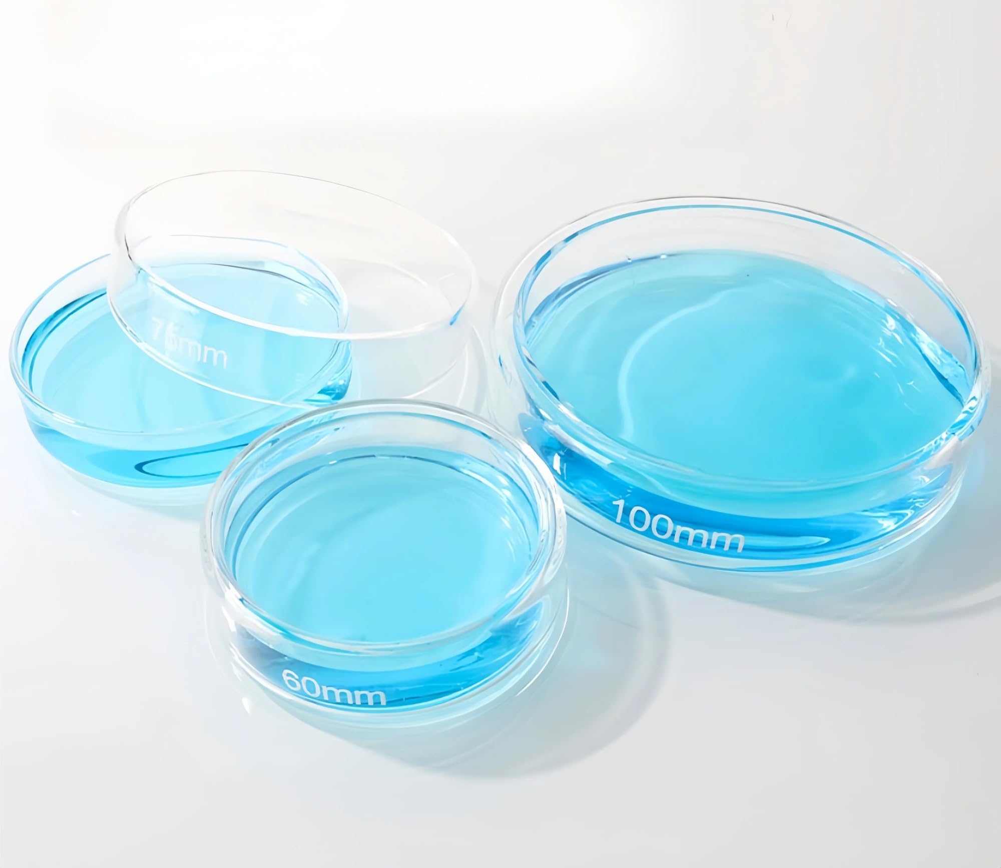 Placas de Petri de vidrio con alto contenido de borosilicato espesado con tapas - Placas de cultivo de grado de laboratorio premium de 200 mm 1 pieza