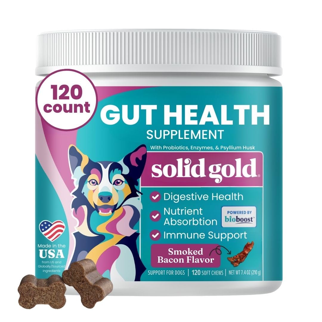 Solid Gold Dog Probiotics for Digestive Health - Probiotics for Dogs with Fiber & Digestive Enzymes for Bowel Support & Gut Health - Bacon Flavor Soft Chews to Support Digestion for All Ages - 120ct