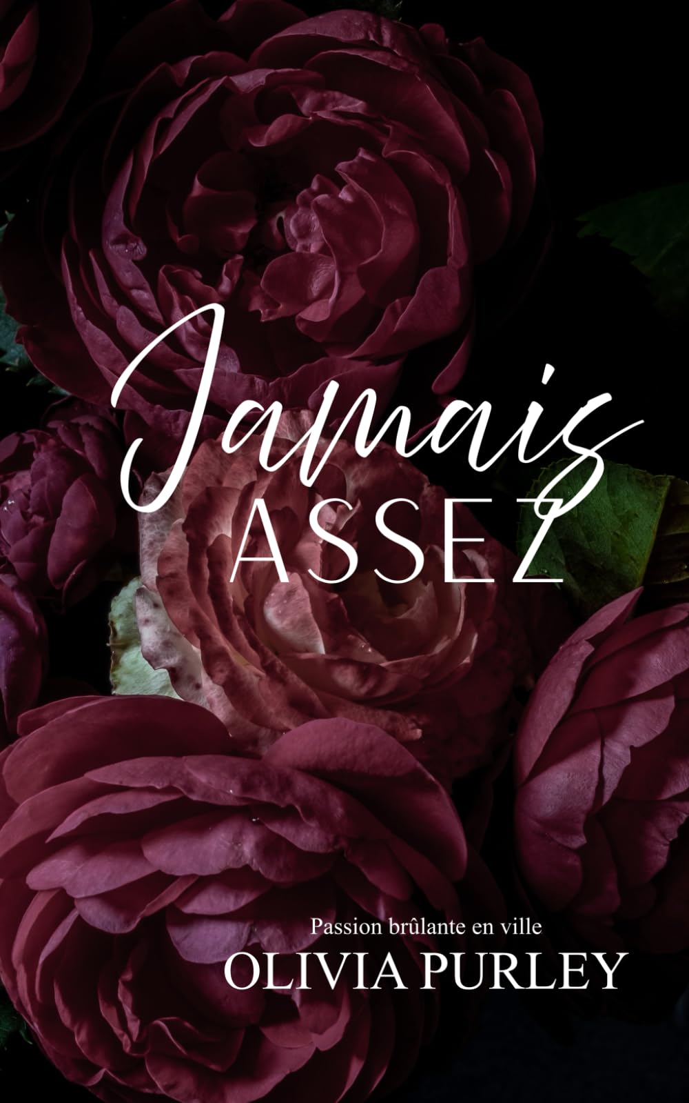 Jamais Assez (Passion brûlante en ville)