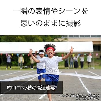 ソニーチュン Amazon | SONY(ソニー) Vlog用カメラ レンズ交換式VLOGCAM APS-C