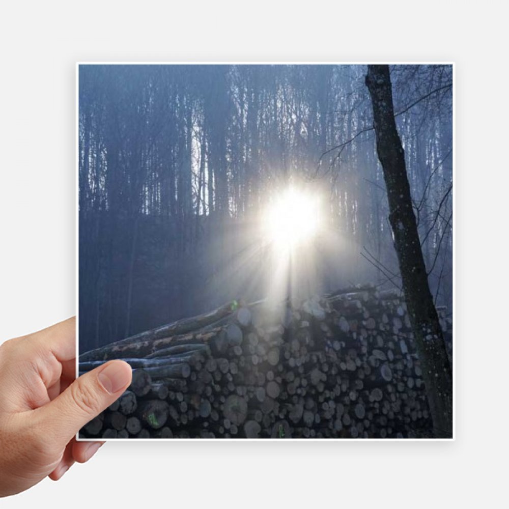 Sticker Sciences Dark Nature paysage forestier pour ordinateur et moto 20cm