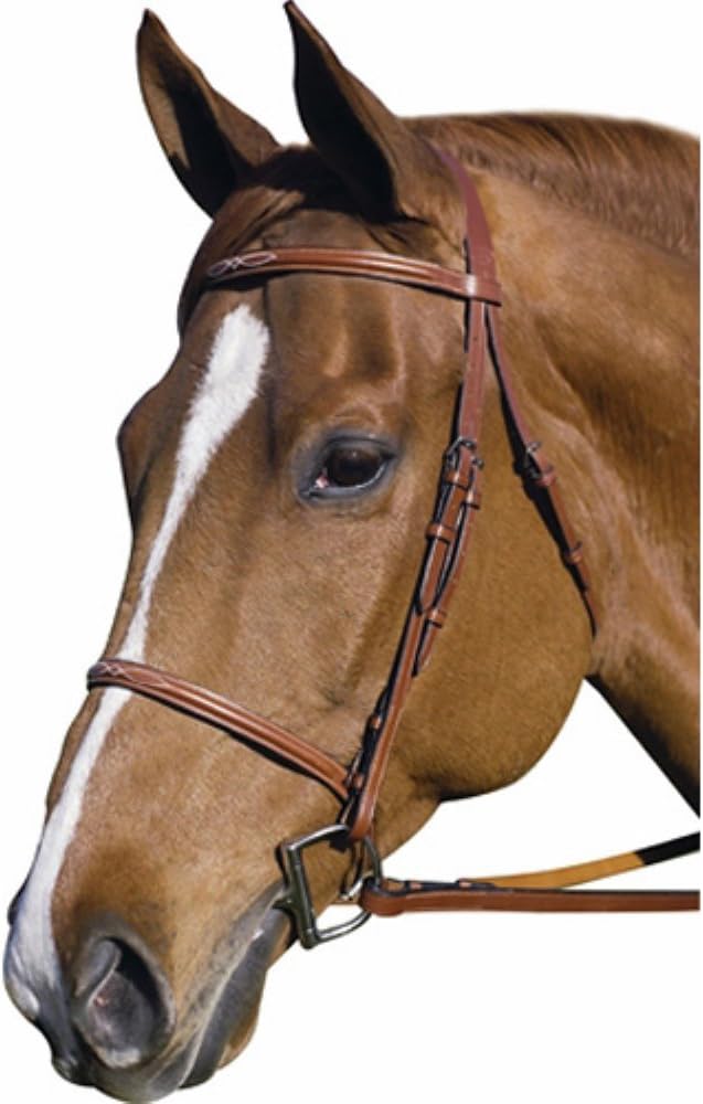 Henri de Rivel Pro Fancy Raised Bridle with Laced Reins