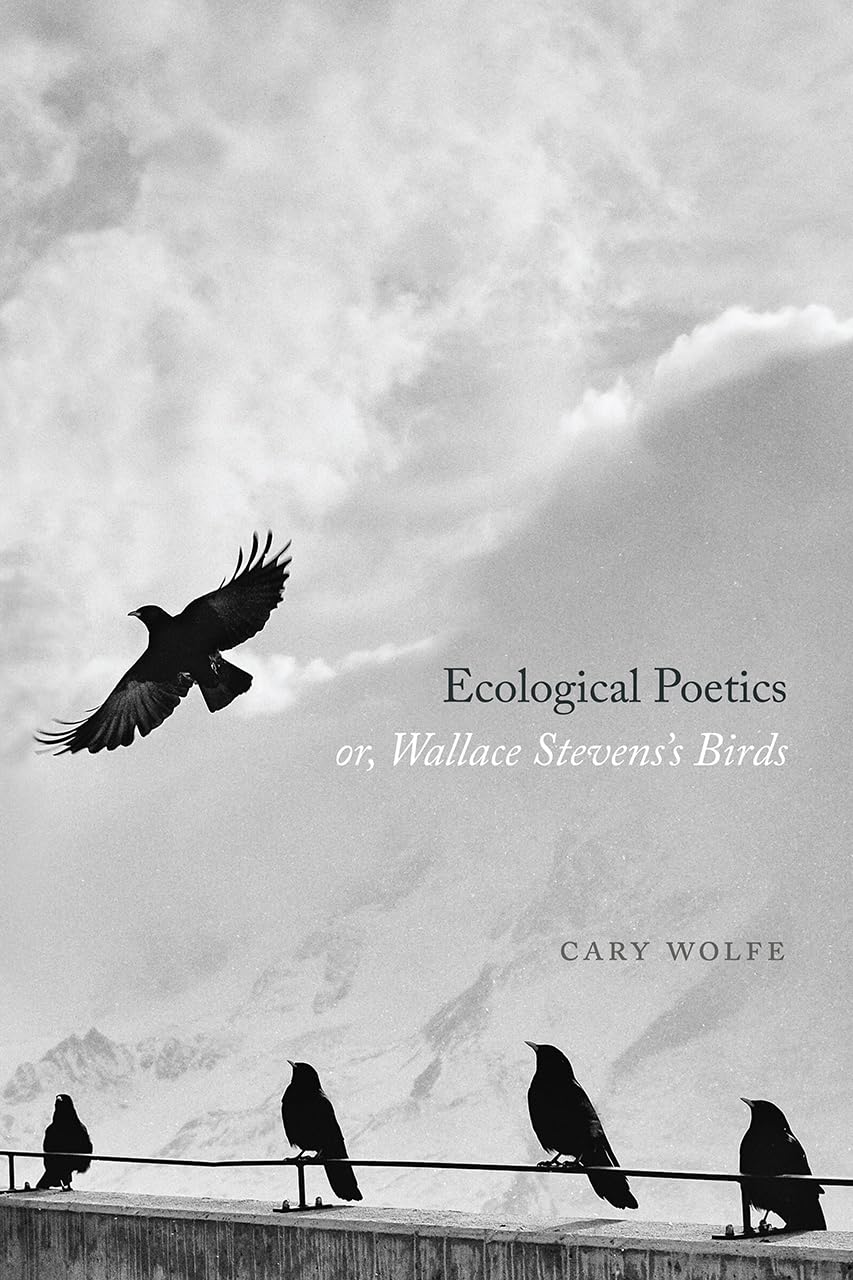 Ecological Poetics; or, Wallace Stevens’s Birds Paperback – April 7, 2020