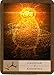 The Shaman's Oracle: Oracle Cards for Ancient Wisdom and Guidance