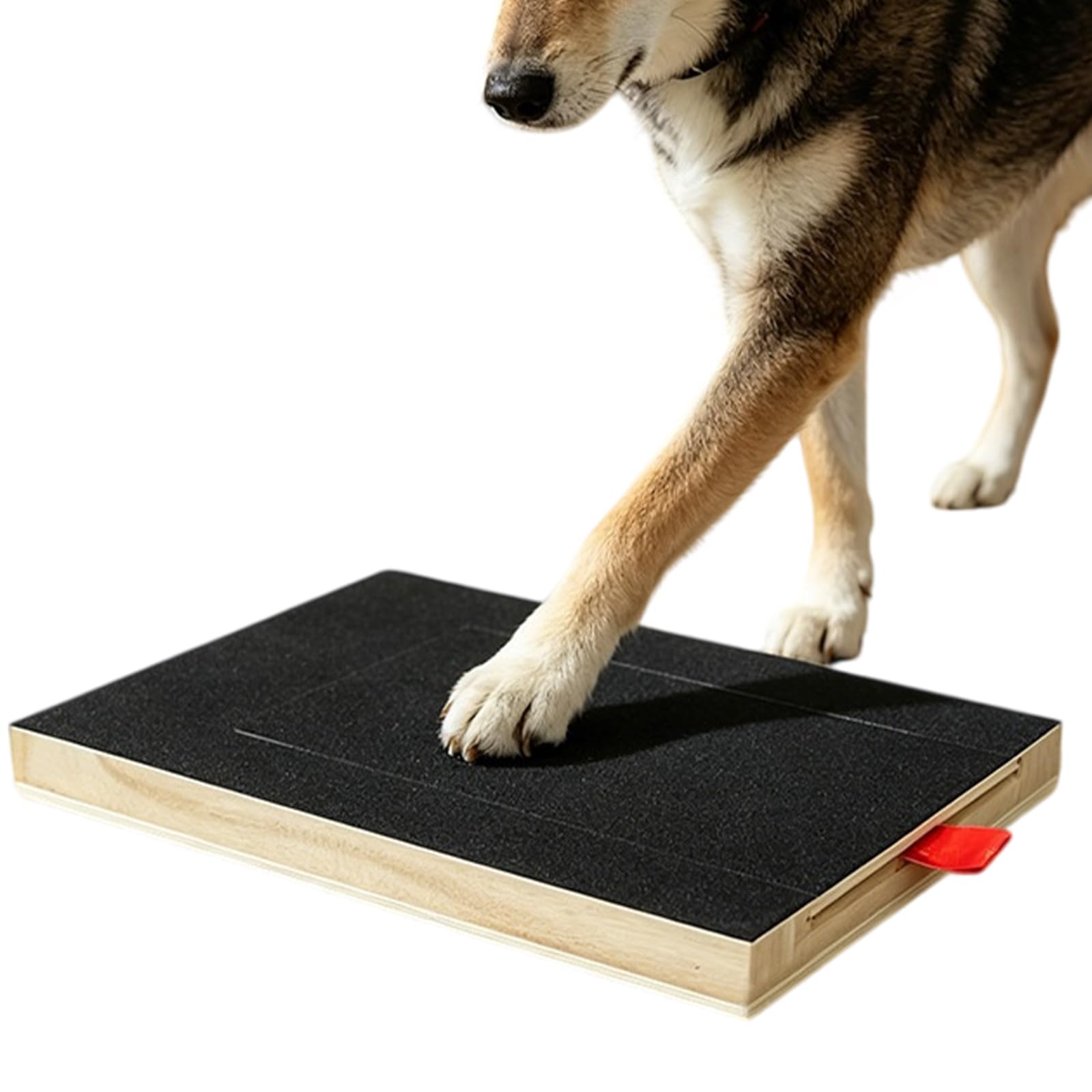 Taglio artigli cane toelettatura cura rapida compatta Piastra per zampe | Taglio artigli cane toelettatura cura artigli stabile aiuto al gesto quotidiano