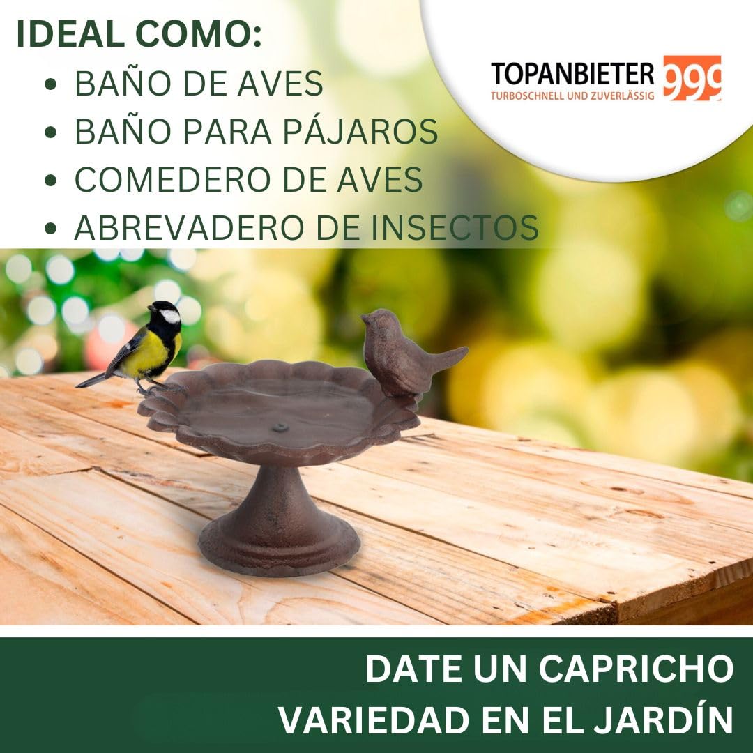 Bebedero para pájaros, bebedero de agua para pájaros silvestres, abrevadero, comedero, resistente a la intemperie y a las heladas (pájaro con pie)