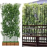 Piante Artificiali A Pelle Alta Aspetto Moderno All'aperto Vero bambù Simion con Foglie Pavimento Stand Decorazioni in Vaso Finte per Il Ponte E Il Patio del Portico Anteriore